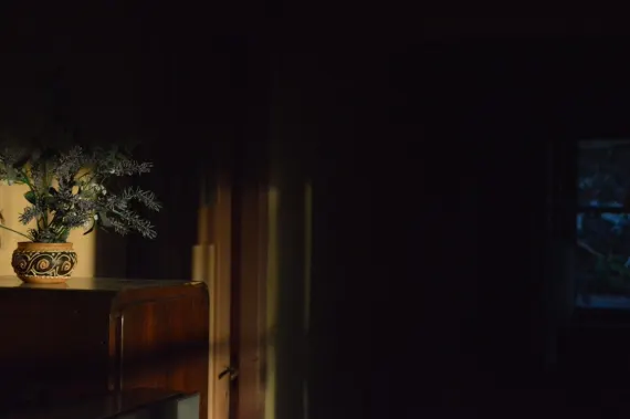 トラダ カジノ サポート